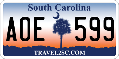 SC license plate AOE599