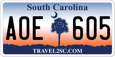 SC license plate AOE605