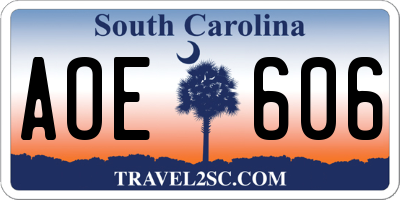 SC license plate AOE606