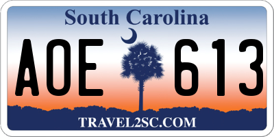 SC license plate AOE613