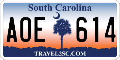SC license plate AOE614