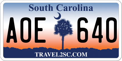 SC license plate AOE640
