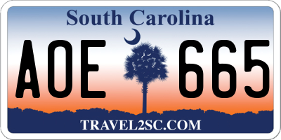SC license plate AOE665