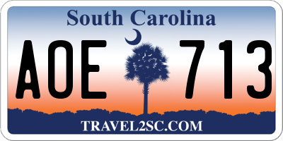SC license plate AOE713