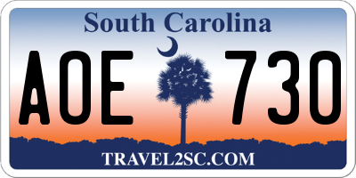SC license plate AOE730