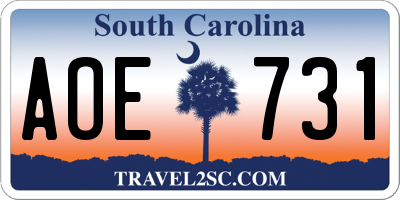 SC license plate AOE731