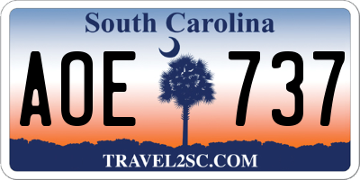 SC license plate AOE737