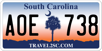 SC license plate AOE738