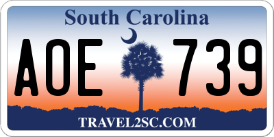 SC license plate AOE739