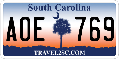SC license plate AOE769