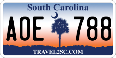 SC license plate AOE788