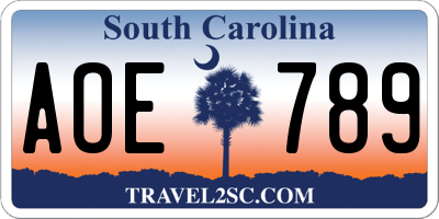 SC license plate AOE789