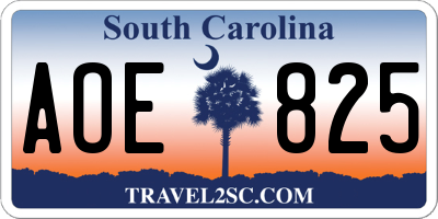 SC license plate AOE825