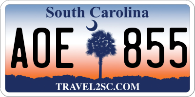 SC license plate AOE855