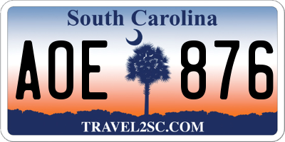SC license plate AOE876