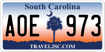 SC license plate AOE973