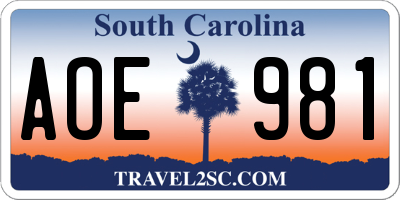 SC license plate AOE981