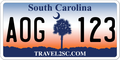 SC license plate AOG123