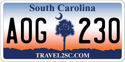 SC license plate AOG230