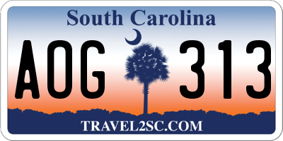 SC license plate AOG313