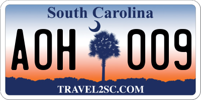 SC license plate AOH009