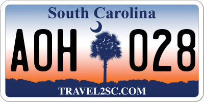 SC license plate AOH028