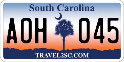 SC license plate AOH045