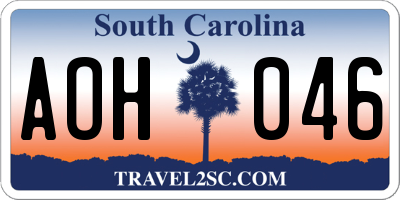 SC license plate AOH046