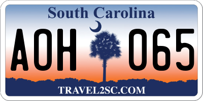 SC license plate AOH065