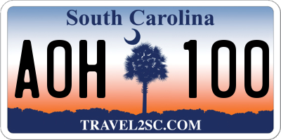SC license plate AOH100