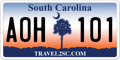 SC license plate AOH101