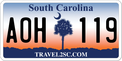SC license plate AOH119