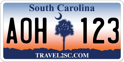 SC license plate AOH123