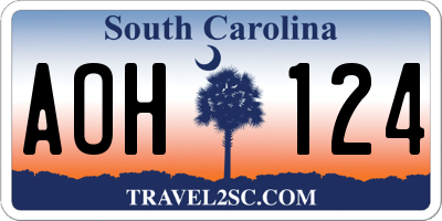 SC license plate AOH124