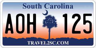 SC license plate AOH125