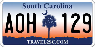 SC license plate AOH129