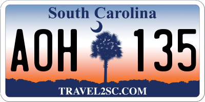 SC license plate AOH135