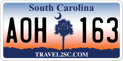 SC license plate AOH163