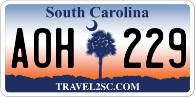 SC license plate AOH229