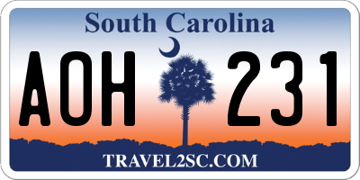 SC license plate AOH231