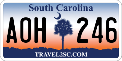SC license plate AOH246