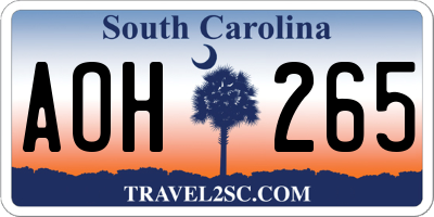 SC license plate AOH265