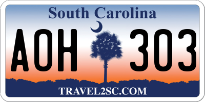 SC license plate AOH303