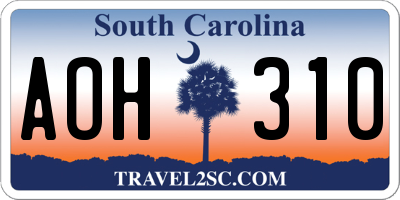 SC license plate AOH310