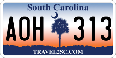 SC license plate AOH313