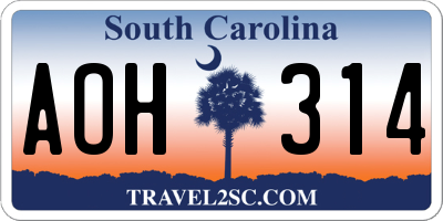 SC license plate AOH314