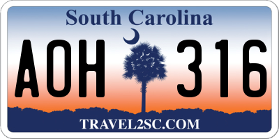 SC license plate AOH316