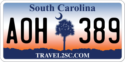 SC license plate AOH389