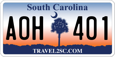 SC license plate AOH401
