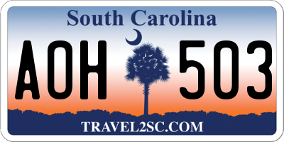 SC license plate AOH503